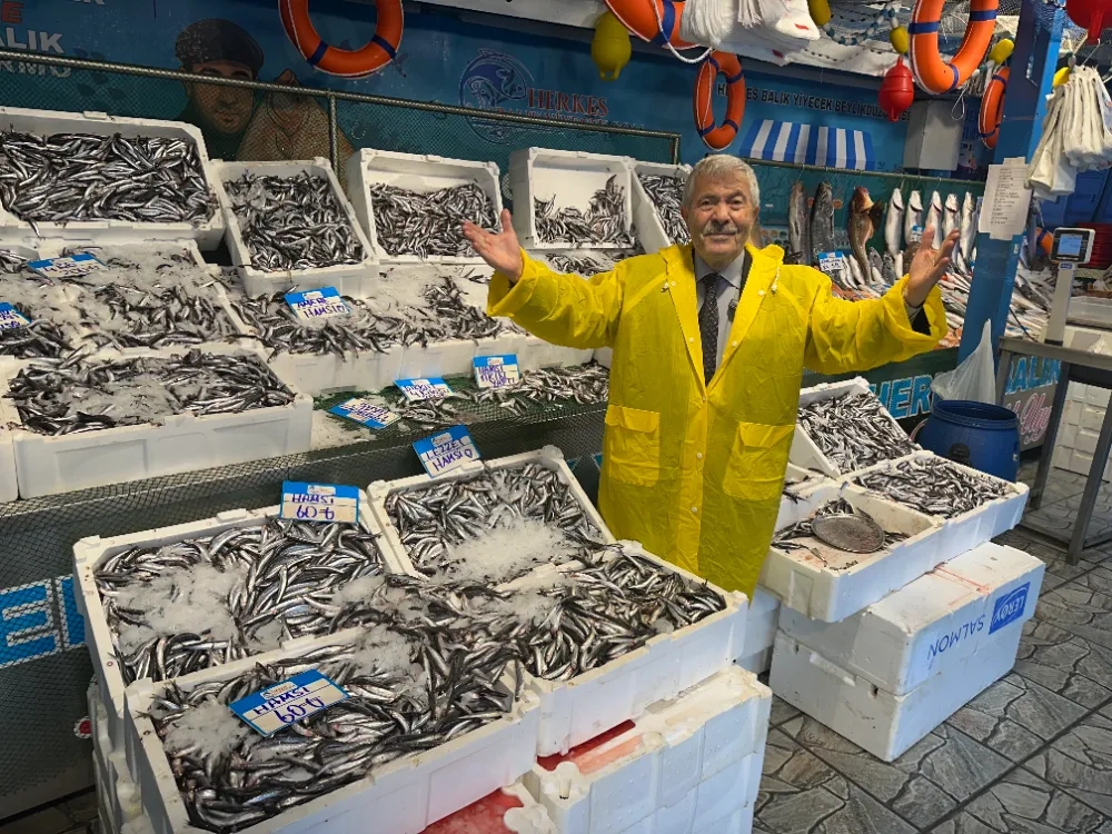 Hamsi Fiyatları Dibe İndi